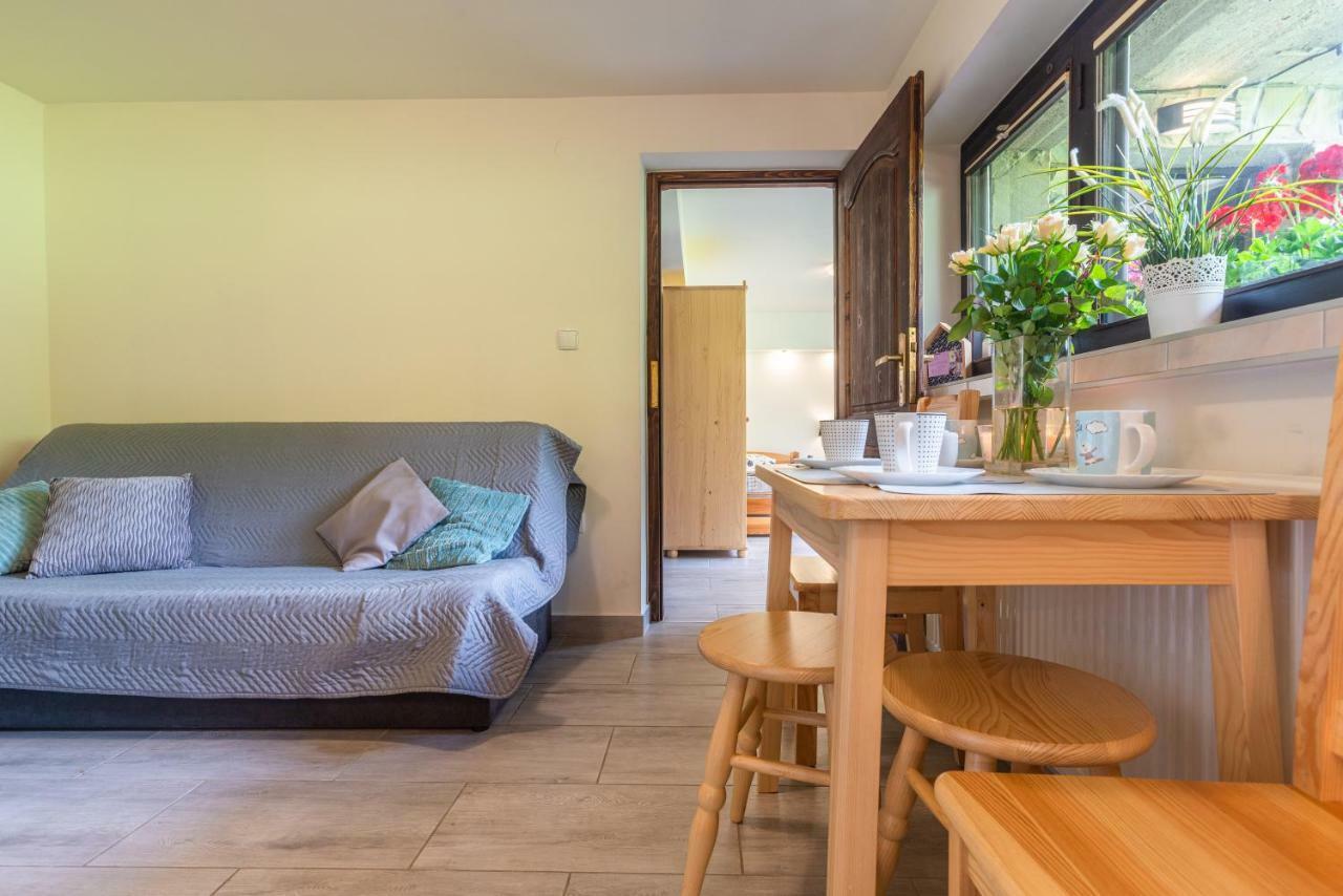Apartament Ewa Zakopane Buitenkant foto